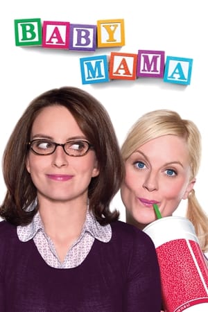 Baby Mama (2008) Hindi Dual Audio 300MB HD Poster Download - filmyfly