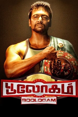 Bhaigiri 2 2018 Hindi Dubbed 350MB HD Poster Download - filmyfly