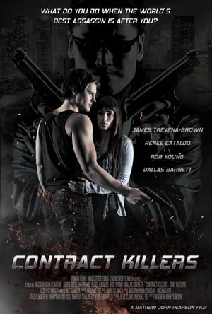 Contract Killers (2014) 100mb Hindi Dual Audio movie Download HD Poster Download - filmyfly