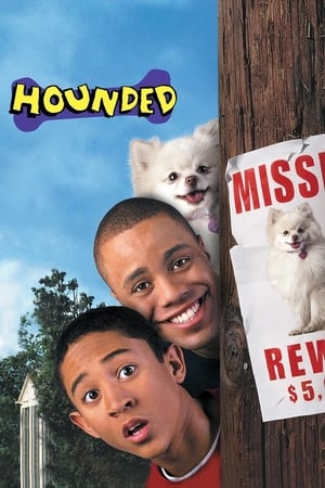 Hounded 2001 Hindi Dual Audio [1.1GB] HD Poster Download - filmyfly