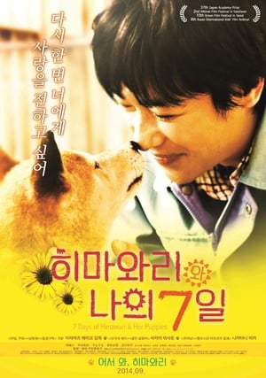 Pup (2013) Hindi Dual Audio [800MB] HD Poster Download - filmyfly