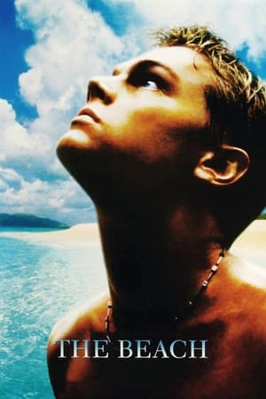 The Beach (2000) Hindi Dual Audio 300MB HD Poster Download - filmyfly