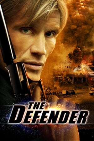 The Defender (2004) Hindi Dual Audio 300MB HD Poster Download - filmyfly